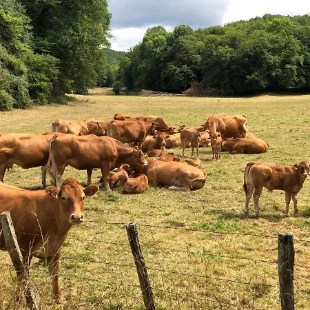 Les Pierres De Tiphaine Montignac-Lascaux Buitenkant foto